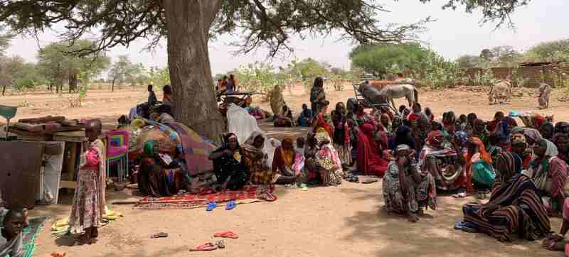 Des initiatives populaires à Kassala fournissent un logement et de la nourriture aux Soudanais déplacés