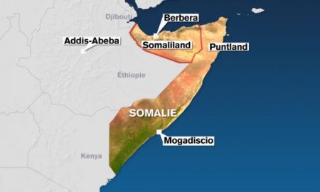 La Somalie appelle les pays arabes à prendre une décision ferme pour rejeter le mémorandum d'accord éthiopien
