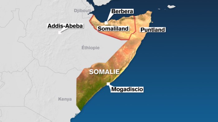 La Somalie appelle les pays arabes à prendre une décision ferme pour rejeter le mémorandum d'accord éthiopien