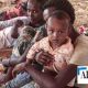 Le gouvernement régional annonce que des centaines de personnes sont mortes de faim au Tigré