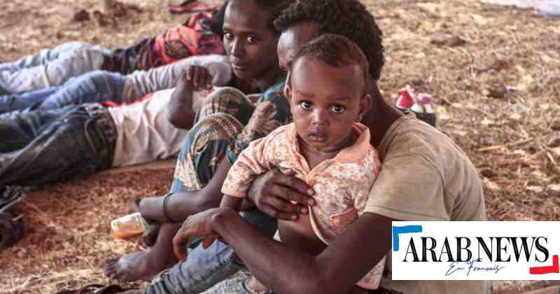 Le gouvernement régional annonce que des centaines de personnes sont mortes de faim au Tigré