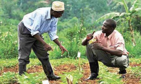 Un partenariat de 11,7 millions de dollars pour protéger les agriculteurs africains des chocs climatiques