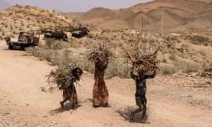 L'organisme fédéral éthiopien reconnaît les décès dus à la faim au Tigré et à l'Amhara