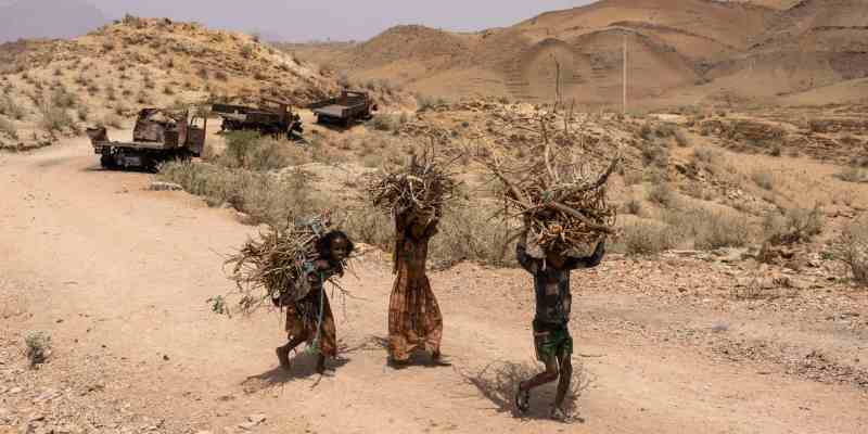 L'organisme fédéral éthiopien reconnaît les décès dus à la faim au Tigré et à l'Amhara