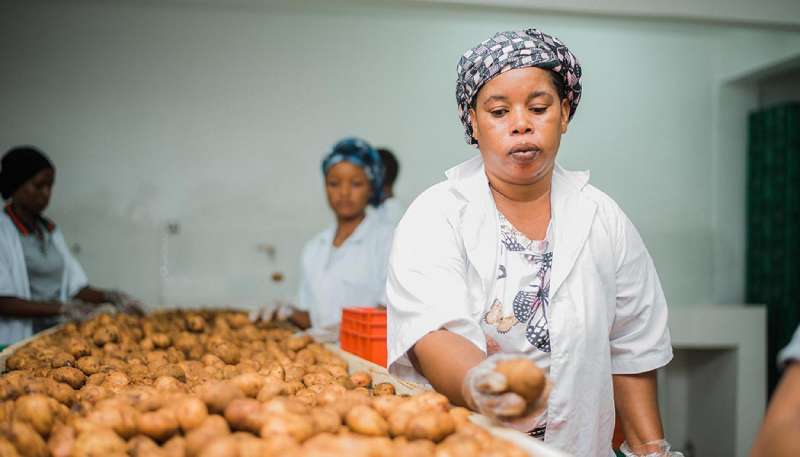 AgriFI augmente son investissement dans l'entreprise tanzanienne East Africa Foods Ltd avec 2 millions de dollars