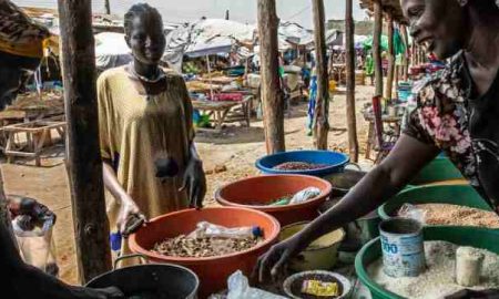 L'ONU alloue une somme d'argent pour faire face à la crise alimentaire au Soudan