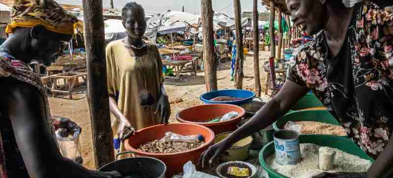 L'ONU alloue une somme d'argent pour faire face à la crise alimentaire au Soudan