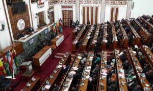 Le Parlement éthiopien prolonge l'état d'urgence à Amhara