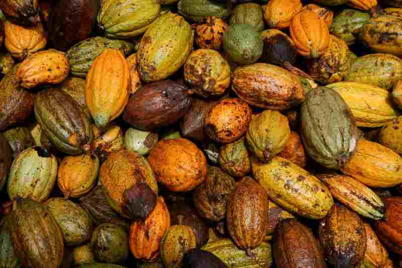 Les prix du cacao en Afrique frappent les acheteurs avec les coûts du chocolat amer, mais les grandes marques voient des bénéfices