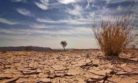 L'Afrique du Sud est menacée par la sécheresse