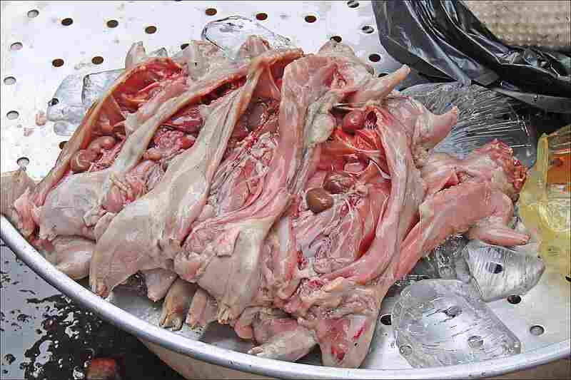 Saisie d'une grande quantité de saucisses de rat destinées aux restaurants et abattoirs en Algérie