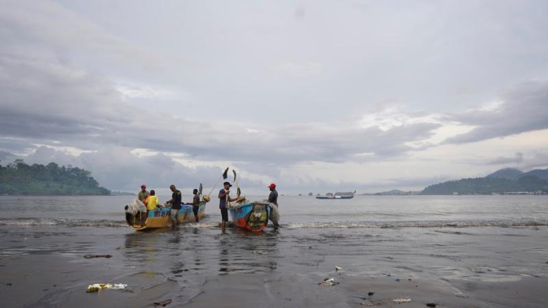 Cameroun Maisons et Plantations détruites par l'eau de mer