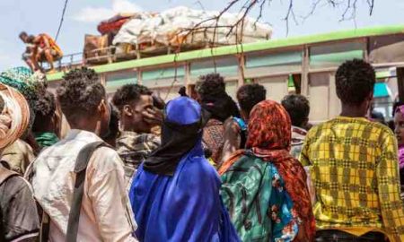 Plus de 800 mille personnes déplacées de diverses régions d'Éthiopie en raison de la sécheresse