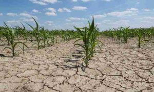 Le FMI évaluera l'impact de la sécheresse sur l'économie zambienne