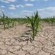 Le FMI évaluera l'impact de la sécheresse sur l'économie zambienne