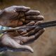Les législateurs gambiens voteront sur l'abrogation de l'interdiction des mutilations génitales féminines