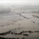 Six personnes ont été tuées dans des inondations soudaines au Malawi