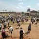 540 écoles ont été fermées depuis le déclenchement des violences au Nord-Kivu