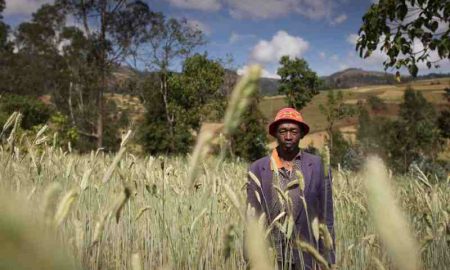 Projet de 62,89 millions de dollars pour stimuler les exportations agricoles des petits exploitants au Rwanda