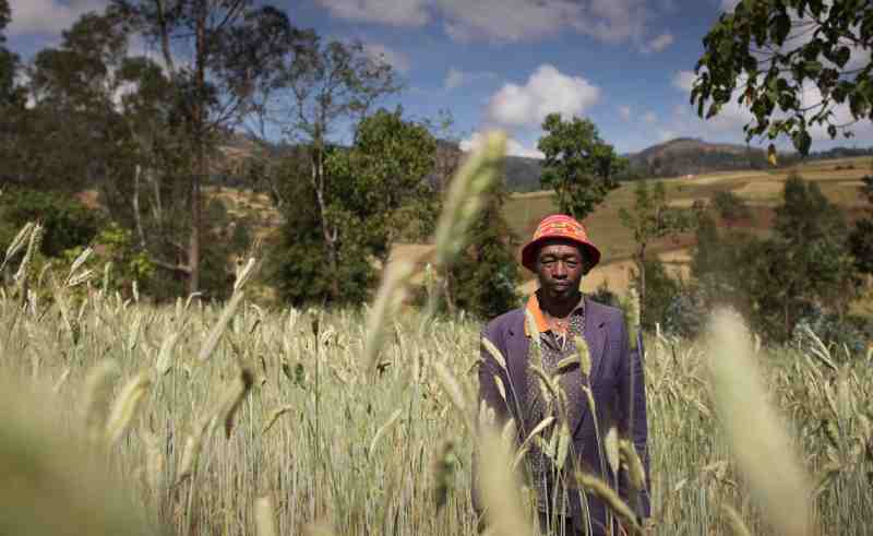Projet de 62,89 millions de dollars pour stimuler les exportations agricoles des petits exploitants au Rwanda