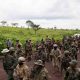 L’Union Européenne : Il n’y a pas de solution militaire à la crise dans l’est du Congo démocratique