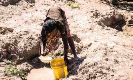 Phénomène El Nino : la Zambie classe la sécheresse comme une « catastrophe nationale » qui a affecté l’agriculture