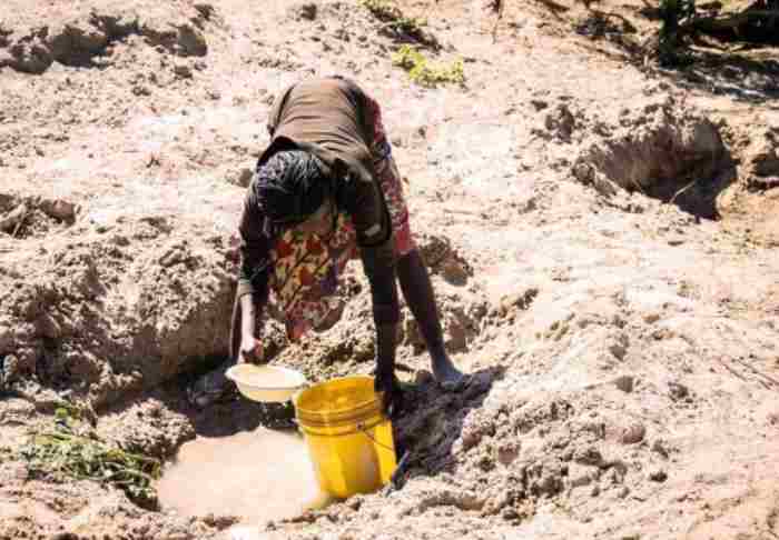 Phénomène El Nino : la Zambie classe la sécheresse comme une « catastrophe nationale » qui a affecté l’agriculture