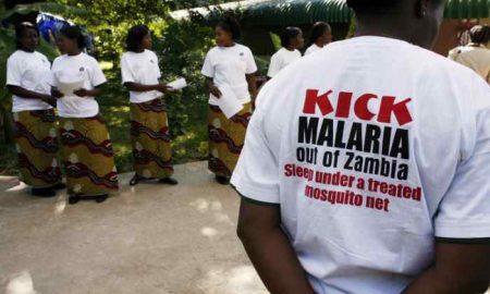 Les cas de paludisme augmentent en Zambie