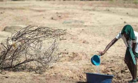 ActionAid souligne la nécessité d'agir pour lutter contre la sécheresse en Afrique australe