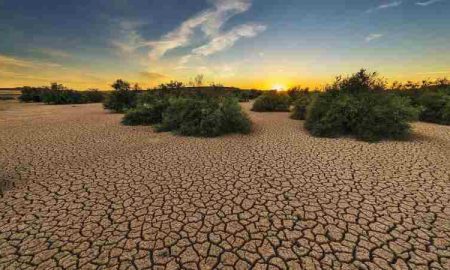 Environ 20 millions de personnes sont confrontées à la faim en raison de la sécheresse en Afrique australe