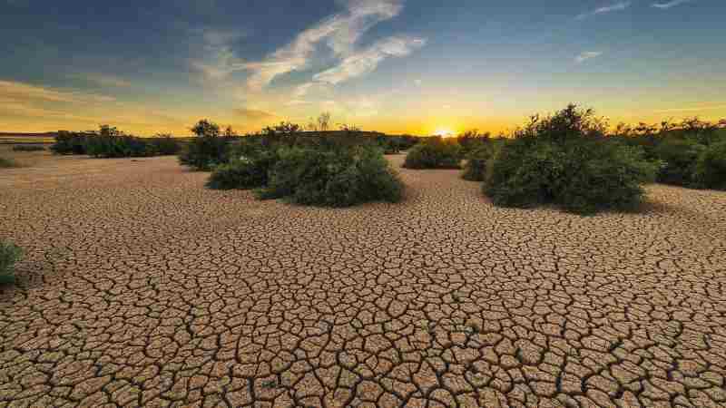 Environ 20 millions de personnes sont confrontées à la faim en raison de la sécheresse en Afrique australe