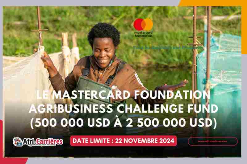 La Fondation Mastercard lance un défi agroalimentaire pour les PME d'Afrique subsaharienne