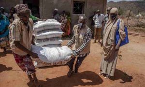 La FAO et le FARA dévoilent un recueil de 100 aliments oubliés prometteurs en Afrique