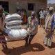 La FAO et le FARA dévoilent un recueil de 100 aliments oubliés prometteurs en Afrique