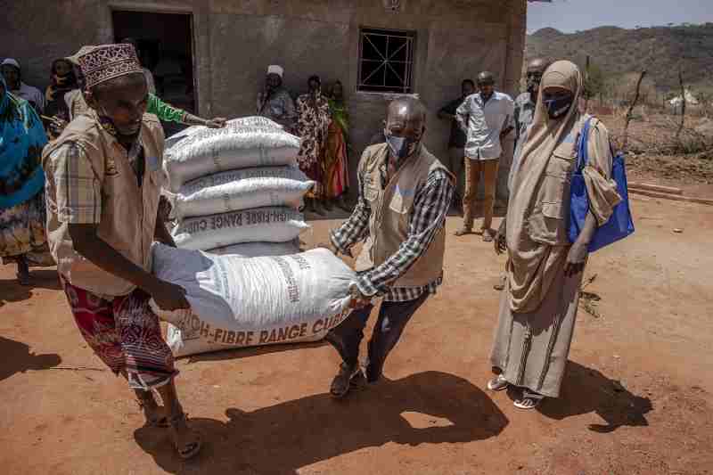 La FAO et le FARA dévoilent un recueil de 100 aliments oubliés prometteurs en Afrique