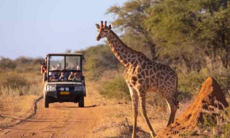 Les revenus du tourisme au Kenya ont dépassé les niveaux pré-Corona