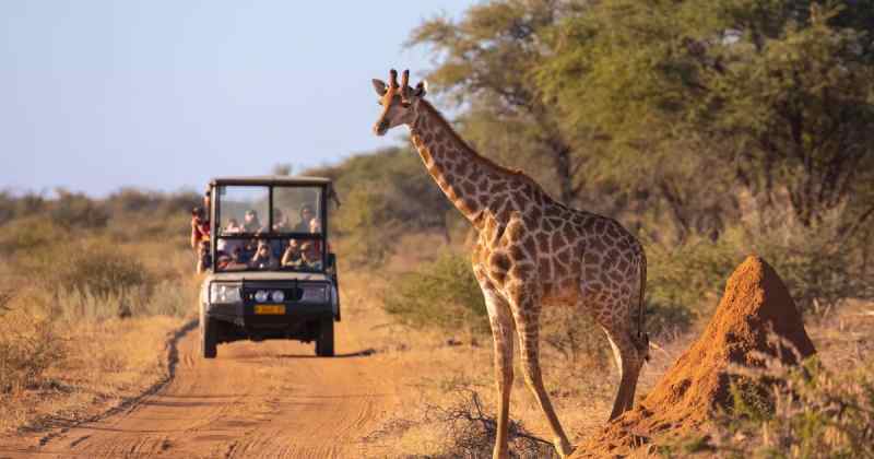 Les revenus du tourisme au Kenya ont dépassé les niveaux pré-Corona