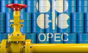 L'organisation des Pays exportateurs de pétrole (OPEP) est enthousiasmée par le partenariat avec la Namibie et apporte son soutien