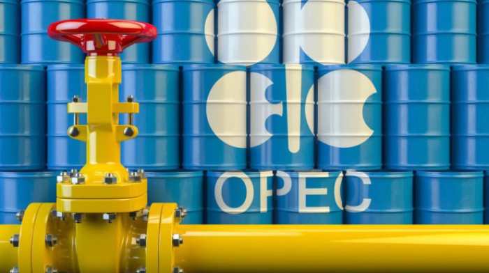 L'organisation des Pays exportateurs de pétrole (OPEP) est enthousiasmée par le partenariat avec la Namibie et apporte son soutien