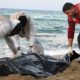 La Tunisie récupère les corps de 19 migrants qui ont tenté de traverser la Méditerranée vers l'Europe