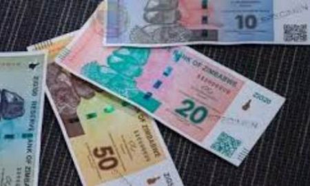 Le Zimbabwe remplace le dollar local par une nouvelle monnaie