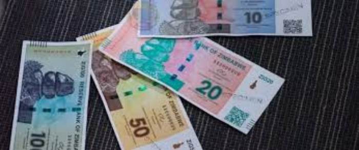 Le Zimbabwe remplace le dollar local par une nouvelle monnaie