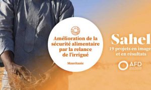 L'AfD et ses partenaires œuvrent à l'amélioration de la sécurité alimentaire au Sahel