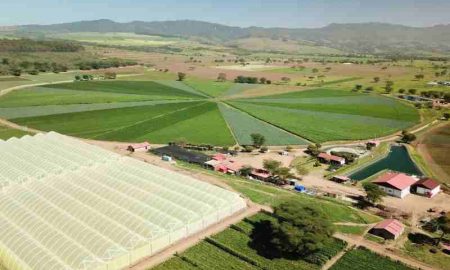 AgDevCo conclut un accord d'investissement en actions avec Agris pour accroître son empreinte en Afrique de l'Est