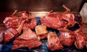 En raison du coût élevé, le plat de viande de chien est devenu un favori des Algériens