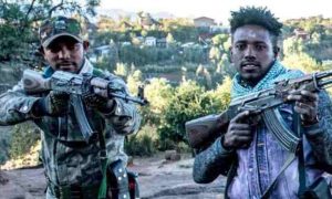 La milice éthiopienne Amhara accuse l'administration du Tigré voisin de " battre les tambours de la guerre”