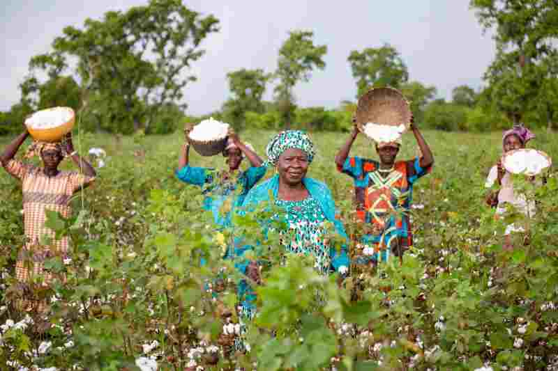 Better Cotton, en collaboration avec Afreximbank, se joint aux efforts de l'OMC pour développer la production durable de coton en Afrique