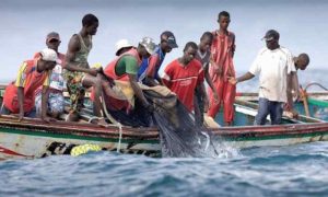 Le Gabon fait face à une pénurie de poisson après l'interdiction de la pêche