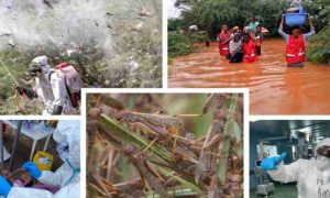 "Santé mondiale": les inondations au Kenya ont accru le risque d'épidémies