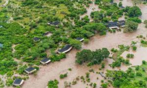 À cause des inondations au Kenya.. Évacuation des touristes de la réserve "Masai Mara"